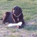 Brian Seavey - Facebook