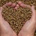 Brian Seeds - Facebook