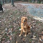 Brian Seely - @brian_seely - Instagram