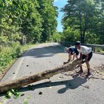 Brian Seery - @bdseery - Instagram