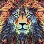Brian Seewald - @brian.seewald - Instagram