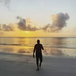 Brian Seif - @seif_kar - Instagram