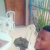 Lemu Brian - Facebook