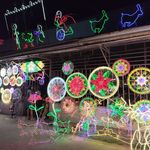 Brian Seifried - @brianseifried - Instagram