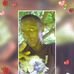Senior John Nganga - Facebook