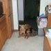 Brian Selter - Facebook