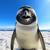 user93994222042677 - @brian.stelter - TikTok