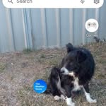 Brian Semple - @brian.semple.50 - Instagram
