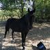Brian Semple - Facebook