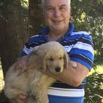 Brian Senecal - @briangoldenlake - Instagram