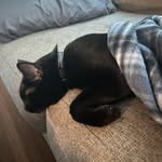 Brian Seney - @brian.j.seney - Instagram
