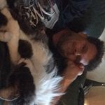 Brian Seney - @brianseney - Instagram