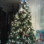 Brian Senick - @briansenick - Instagram