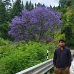 Brian Sequeira - @brianseq - Instagram