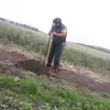 Brian Sequeira - @brian.sequeira1 - TikTok