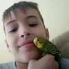 brian liam sergi - @briansergi5 - TikTok