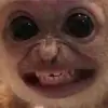 Brian - @brianserra21 - TikTok