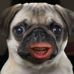 Brian Serrano - @brianserranog - Instagram