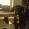 Brian Setters - @brian.setters3 - TikTok