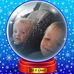 Bryan Severance - Facebook