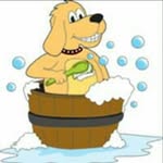 Brian Groom - @brians_groomers - Instagram