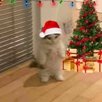 Brian SH - Facebook