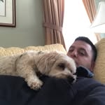 Brian Shaban - @brianshaban - Instagram