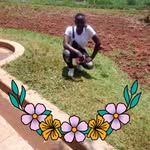 Shainiz Brian - @shainizbrian - Instagram