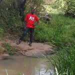 Shakes - @shakes_brian - Instagram