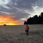 Brian Shankle - @shanklebrian - Instagram