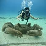 Brian Shareba Novichevich - @brianshareba - Instagram