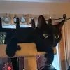 Justinkace - @brian.sharrow - TikTok