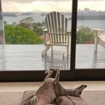 Brian Hartzer - @hartzerb - Instagram