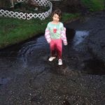 Brian Shaul - @shaulbrian - Instagram