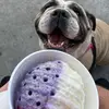 BriansShaveIce - @briansshaveice - TikTok