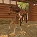 Brian Shipley - Facebook