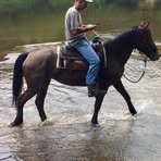 Brian Shealy - Facebook