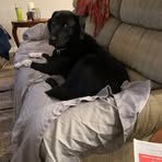 Brian Shear - Facebook