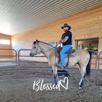 Brian Shearer - @brian.shearer.395 - Instagram