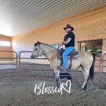 Brian Shearer - @brian.shearer.395 - Instagram