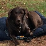 Brian Sheedy - @ktsdad9 - Instagram