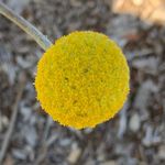 Brian Sheedy - @sheedy_brian - Instagram