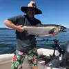 brian sheedy - @brian.sheedy - TikTok