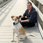 Brian Sheehy - @briansheehy6 - Instagram