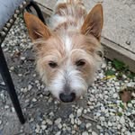 Brian Sheehy - @sheehybj62 - Instagram