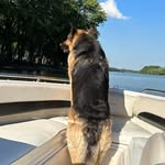 Brian Sheffer - @brian.sheffer.77 - Instagram