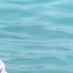 @brian_shefy - Instagram
