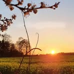 Brian Shell - Facebook