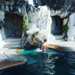 Brian Shenmue - @brianshenmue - Instagram