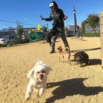 Brian Sherrill - @briandoglife - Instagram